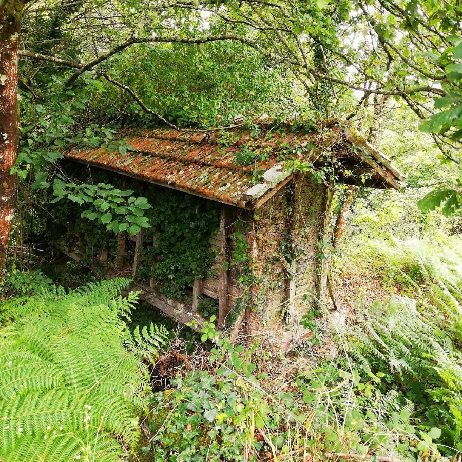 Casa Do Cruzeiro Guest House Paredes de Coura Exterior photo